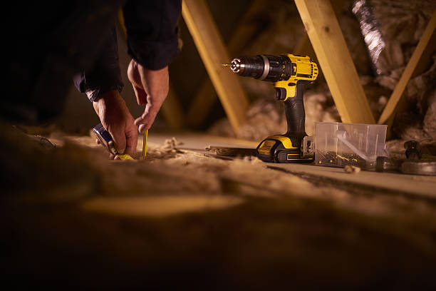 Best Insulation Removal  in Merrick, NY